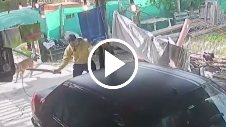 Horror: padre e hijo mataron a un familiar y lo clavaron a un poste