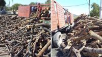 Nuevo operativo contra el transporte ilegal de productos forestales en el departamento Guasayán