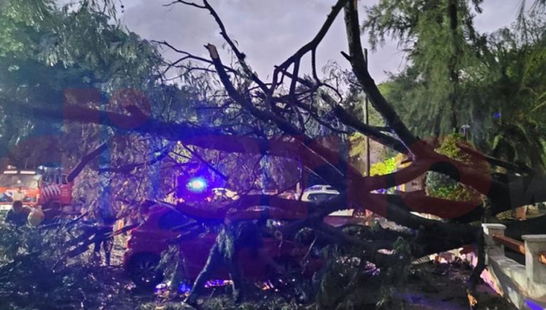 A tree crushed his car and he was caught in the middle of the storm [FOTOS] |  New Web Newspaper