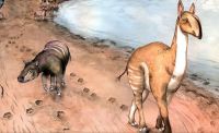 Hallaron huellas fosilizadas de mamíferos extintos hace 10 millones de años en La Rioja