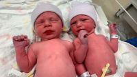 Estados Unidos: nacieron gemelos de embriones congelados hace más de 30 años