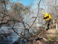 Brigadistas extinguen incendio en Savira, en el límite con Córdoba