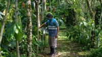 Relator de la ONU pide acciones urgentes a Costa Rica para erradicar la esclavitud laboral