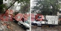 Un árbol caído por las lluvias partió al medio un camión en pleno Centro