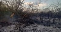 Bomberos sofocaron un voraz incendio en Salavina que arrasó con 500 hectáreas