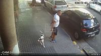 Abandonó a su perra: la ató a un poste bajó el sol y quedó grabado 