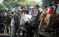 Trincheras de Icaño: Comenzará el carnaval más tradicional del sudeste provincial