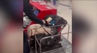 Indignación total: una pareja abandonó a un bebé en un aeropuerto por no querer pagar su pasaje