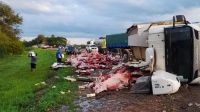 Camionero volcó en la Ruta 34 y le robaron 23.000 kilos de carne