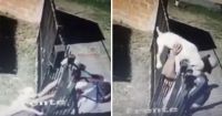 Indignante: junto a un niño, robó un perro tras engañarlo con unas caricias [VIDEO]