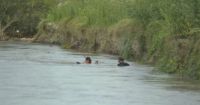 Buscan intensamente a una niña que se cayó al cauce del río Saladillo