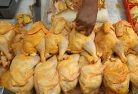 Aumentaron  los precios del pollo y el trigo