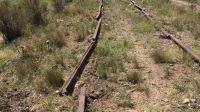 Descubrieron rieles cortados de las vías del exferrocarril General Belgrano 