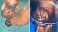 Video: así fue el terrible ataque de un tiburón a una joven buceadora