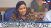 En Comisión de Salud, avanzó el proyecto sobre seguridad del paciente y la iniciativa que regula la actividad del acompañante terapéutico