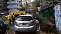 Una persona falleció a causa del temporal que azotó a Buenos Aires